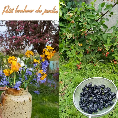Exquisite Tiny House With Garden And Air Con - Between Paris-disneyland - 3mins From Train Station Apartment Noisy-le-Grand