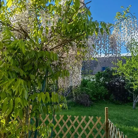 Exquisite Tiny House With Garden And Air Con - Between Paris-disneyland - 3mins From Train Station Noisy-le-Grand